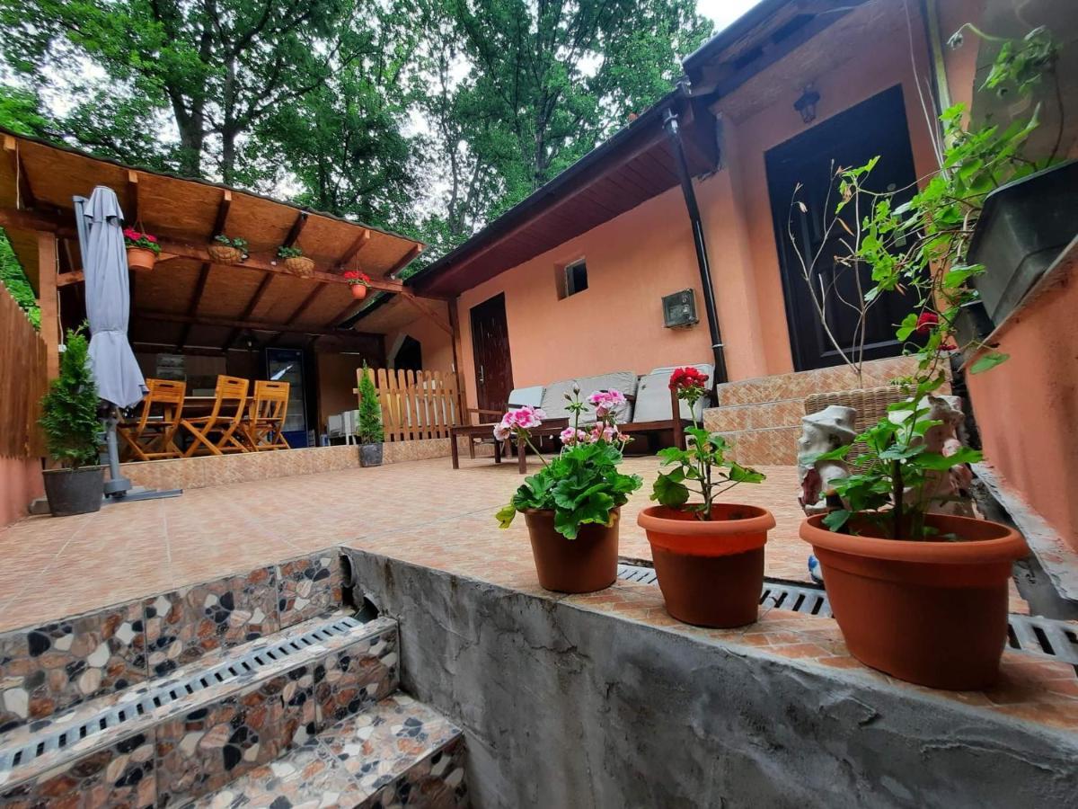 Casa De Vacanta Emd Ешелница Экстерьер фото
