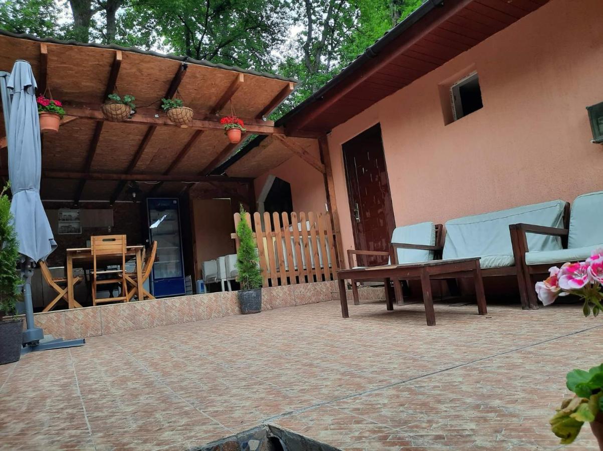 Casa De Vacanta Emd Ешелница Экстерьер фото