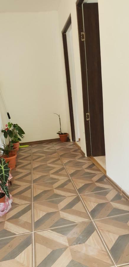 Casa De Vacanta Emd Ешелница Экстерьер фото